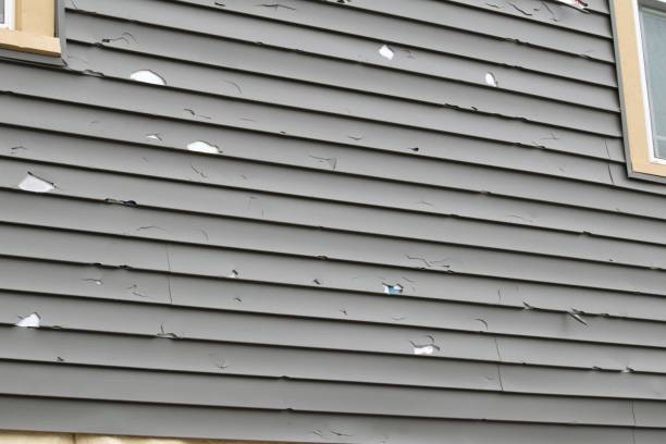 Best Custom Siding Design  in Sullivan Gardens, TN