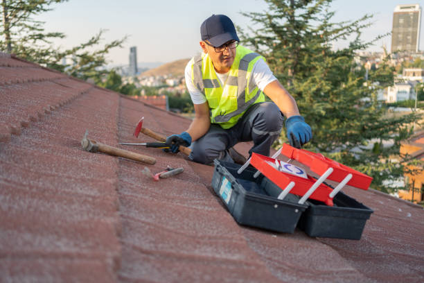 Best Storm Damage Siding Repair  in Sullivan Gardens, TN