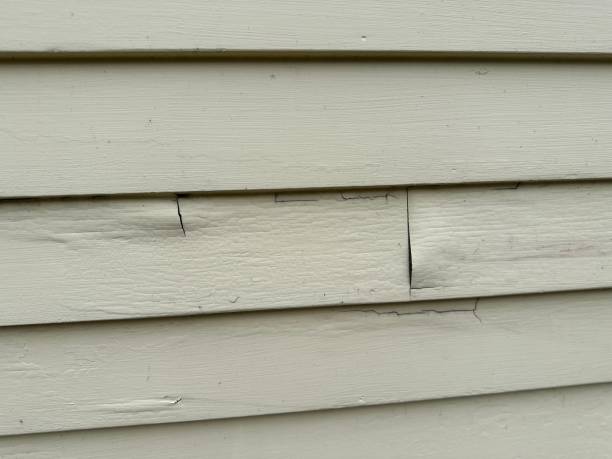 Best Residential Vinyl Siding Installation  in Sullivan Gardens, TN